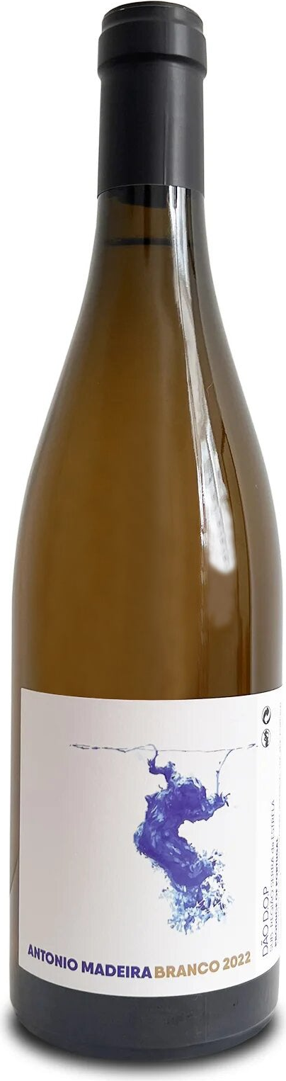 Antonio Madeira - Branco - #2032-2023