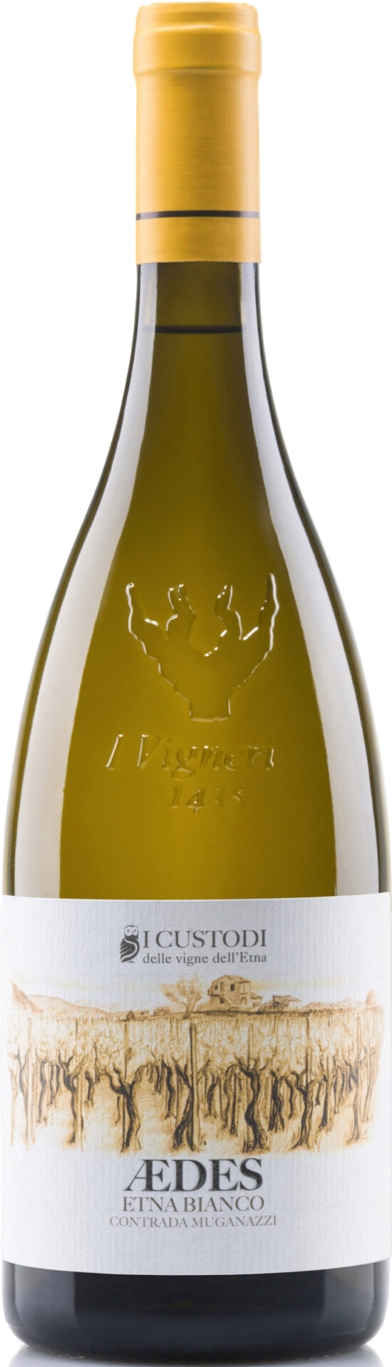 I Custodi - Aedes - Etna Bianco - 2024 - #2201-24