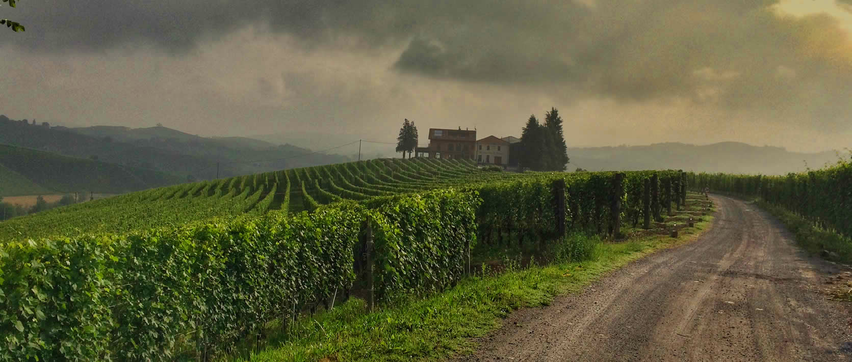 Battista Borgogno image