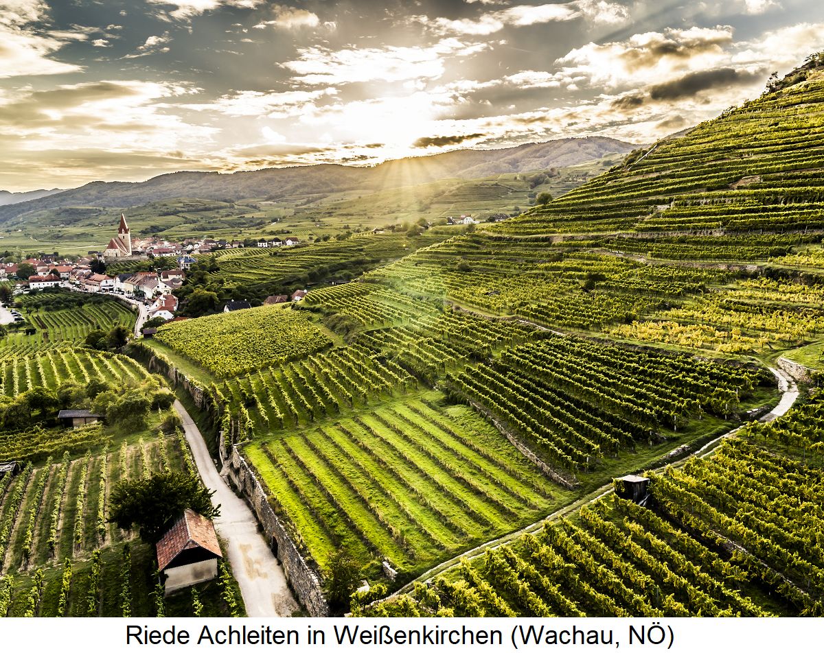 Domäne Wachau image