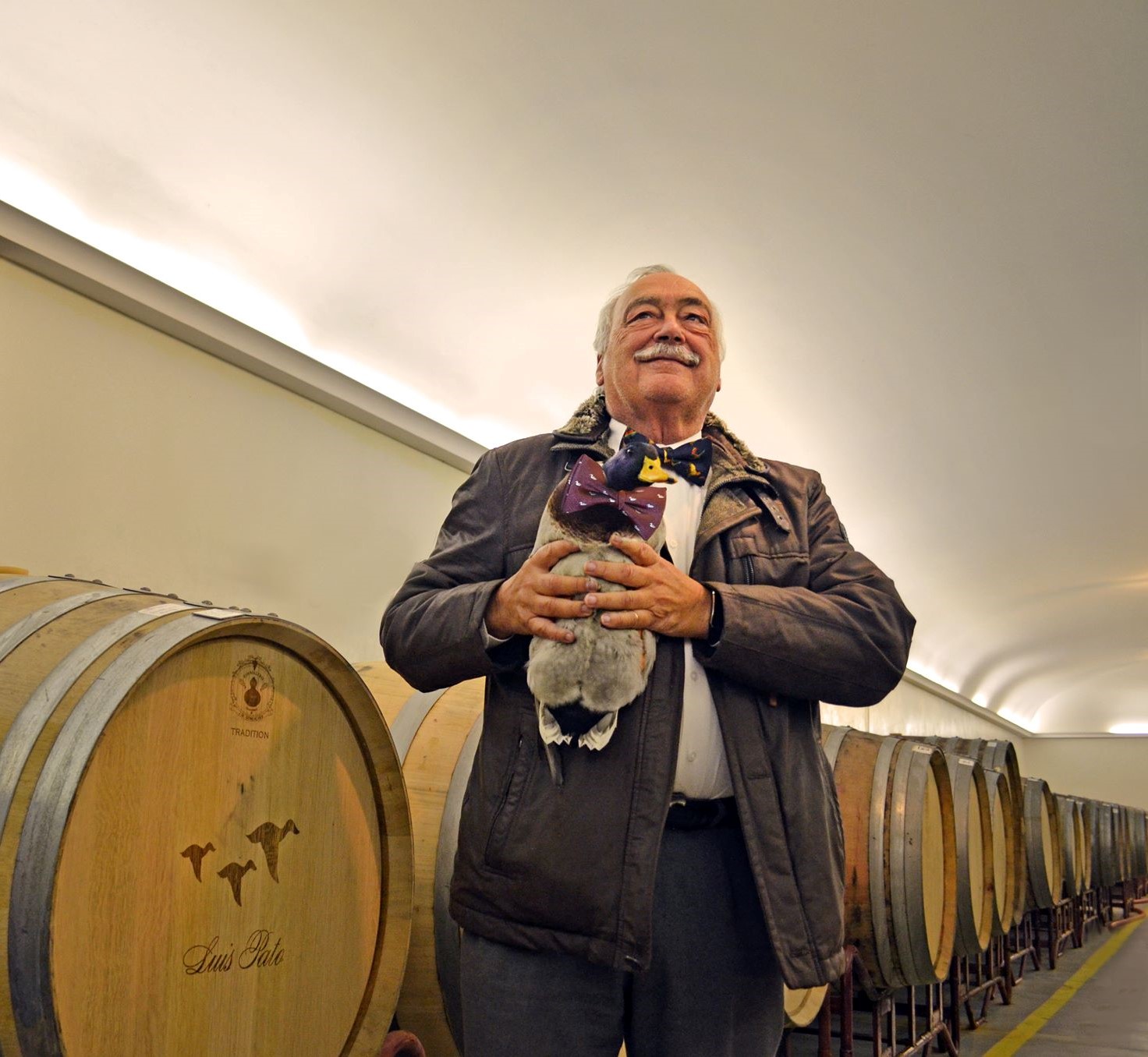 Luis Pato image