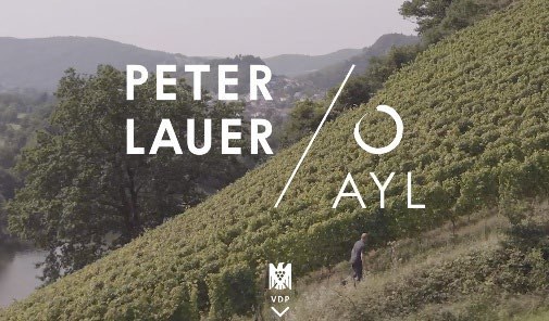 Peter Lauer image